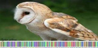 Đánh dấu mã vạch DNA trên sinh vật