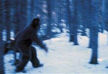 Tìm thấy nơi trú ẩn của Người Tuyết Yetis ở Nga