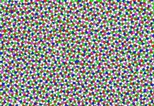 Phát hiện trạng thái vật chất kỳ lạ trong mắt gà