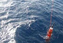 Robot có thể di chuyển bằng nhiệt độ nước biển Robot có thể di chuyển bằng nhiệt độ nước biển