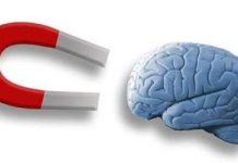 Dùng nam châm điều khiển não bộ