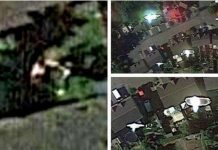 Google lộ bằng chứng người ngoài hành tinh "bắt cóc" thợ săn UFO