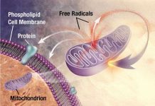 Tại sao chúng ta cần phải ngủ?