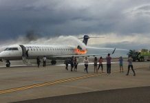 Gặp thảm họa, vì sao nhiều người đứng chết trân?