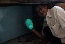 Những hòn đá kỳ lạ ở Việt Nam