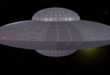 Đĩa bay ven biển săn lùng các động vật