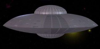 Đĩa bay ven biển săn lùng các động vật