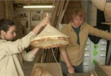 Tự tay trồng nấm làm đồ nội thất gia đình