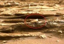 Phát hiện những điều kỳ lạ trên sao Hỏa