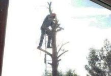 Hà Lan ra mắt hệ thống cảnh báo khẩn cấp toàn dân