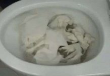 Toàn cảnh thông tắc bồn cầu bá đạo trên từng hạt gạo