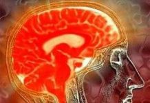 Thiết bị đọc sóng điện não chính xác, an toàn Thiết bị đọc sóng điện não chính xác, an toàn