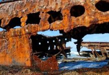 Bạn sẽ ngạc nhiên khi biết công nghệ ngày nay có thể làm được điều này