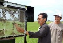 Nông dân chế tạo máy diệt rầy