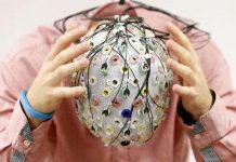 Con người có thể sống bất tử trong máy tính