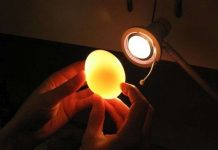 Thí nghiệm đơn giản để biến trứng thành quả bóng trong suốt, nảy như bóng bàn