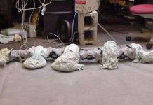 Robot tự tạo hình