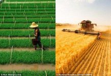 Hé lộ căn nguyên khác biệt văn hóa Đông - Tây