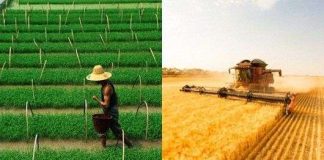 Hé lộ căn nguyên khác biệt văn hóa Đông - Tây