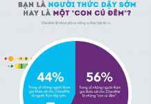 Bạn là "chim sớm" hay là "cú đêm"?