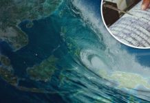 Nhà ngoại cảm cảnh báo sóng thần mạnh chưa từng thấy càn quét châu Á