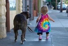 Nhà có chó, trẻ năng động hơn