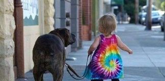 Nhà có chó, trẻ năng động hơn