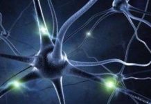 Mở khóa máy tính bằng sóng não