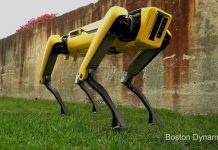 Robot SpotMini ra mắt phiên bản mới: nhỏ gọn và giống chó hơn