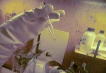 Xác nhận sự tồn tại của nguyên tố hóa học thứ 117