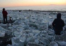 Hiện tượng hiếm gặp: Hàng ngàn "viên đá quý" trải khắp bờ sông ở Nhật