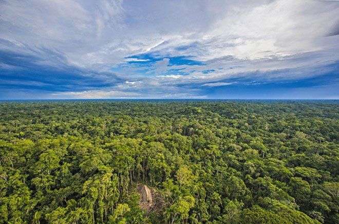 Cuộc sống bất biến qua 20.000 năm của bộ lạc rừng Amazon