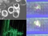 Vỏ phi thuyền tự ‘hàn’ các vết nứt Vỏ phi thuyền tự 'hàn' các vết nứt