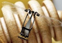 Robot ong thụ phấn cho hoa