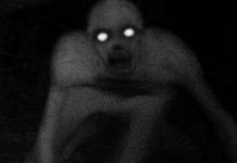 Sinh vật kỳ lạ giống "người nhện" xuất hiện ở Mỹ