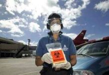 Mỹ công bố chip xét nghiệm nhanh cúm gà