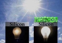 Pin mặt trời sinh học làm từ rau cải