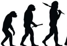 Nếu trở nên bất tử, chúng ta sẽ ăn gì hàng ngày?