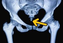 Ai cũng sở hữu bộ phận này trên cơ thể nhưng không biết vì sao chúng tồn tại