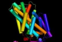 Làm cách nào Protein mở “cánh cửa” vào bên trong tế bào