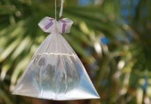 Lý giải khoa học hiện tượng loài ruồi sợ túi bóng nước