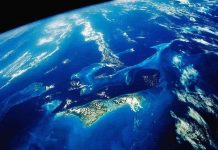 Con người có thể "mọc" chân vịt, mắt mèo trong tương lai