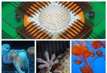 13 phát minh khoa học đột phá mà con người vay mượn từ thiên nhiên