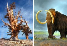 6 sự thật lịch sử khiến bạn mất hoàn toàn khái niệm về thời gian