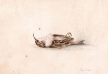 Bức tranh trăm tuổi bất ngờ được tìm thấy ở Nam Cực