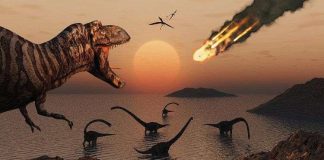 Không phải thiên thạch, thứ thực sự giết chết khủng long là gì?