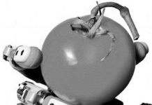 Bàn tay robot nhận biết chính xác hơn 100 vật liệu