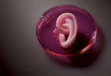 Những phát minh làm thay đổi tương lai ghép tạng Những phát minh làm thay đổi tương lai ghép tạng