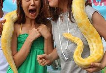 Những nỗi sợ hãi có sẵn trong tiềm thức của con người