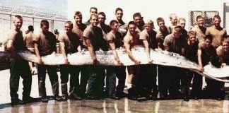 Lý giải nguyên nhân xuất hiệt các sinh vật khổng lồ đáng sợ dưới biển